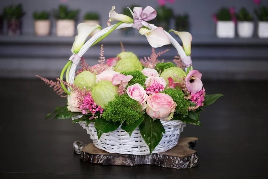 Les Fleurs de la Malmaison 1